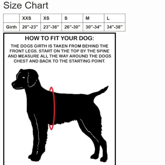 Working Dog Vest for Service Dog in Training - Picture 14 of 16